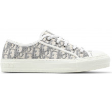 Dior Low Embroidered Canvas