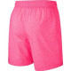 Шорты Nike Air Jordan Jump Cement Pink