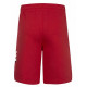 Шорты Nike Club High Brand Read French Terry Short