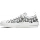 Dior B23 Low Oblique