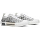 Dior B23 Low Oblique
