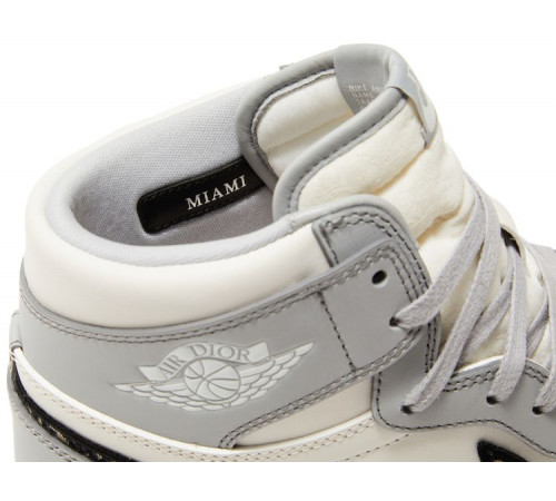 Кроссовки Dior x Air Jordan 1 High