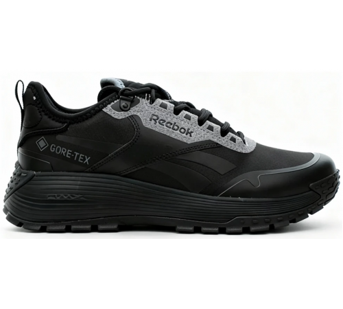 Кроссовки Reebok DMX Trail Gore-Tex Black Pure Grey