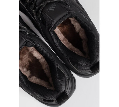 Кроссовки Adidas Terrex Climaproof (-21°) Low черные с мехом