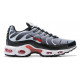 Кроссовки Nike Air Max Plus White Silver Red Black