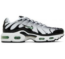 Кроссовки Nike Air Max Plus White Reflect Silver Fresh Mint