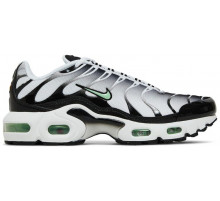 Кроссовки Nike Air Max Plus White Reflect Silver Fresh Mint