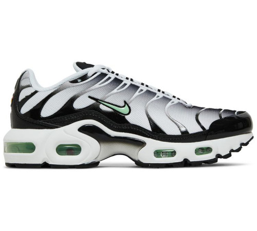 Кроссовки Nike Air Max Plus White Reflect Silver Fresh Mint