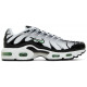 Кроссовки Nike Air Max Plus White Reflect Silver Fresh Mint
