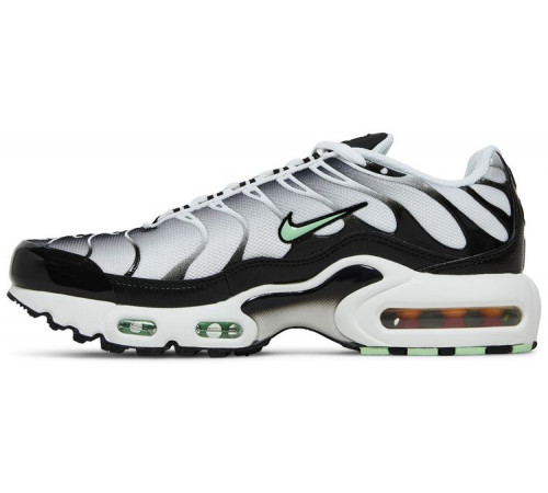 Кроссовки Nike Air Max Plus White Reflect Silver Fresh Mint