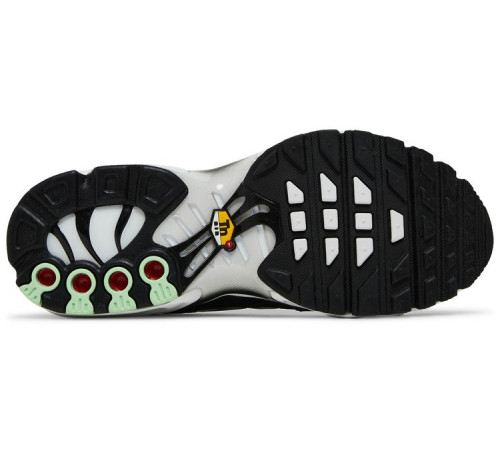 Кроссовки Nike Air Max Plus White Reflect Silver Fresh Mint