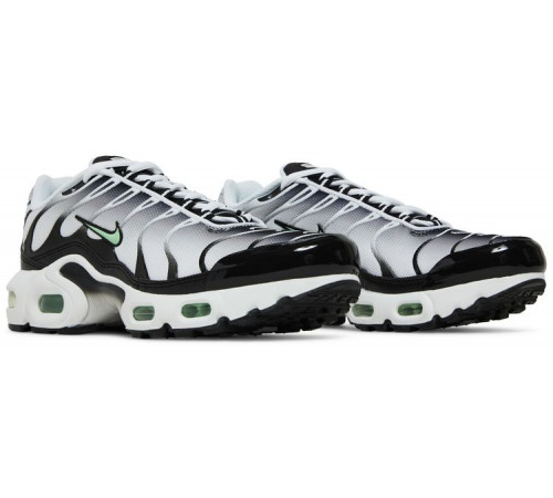 Кроссовки Nike Air Max Plus White Reflect Silver Fresh Mint