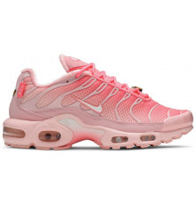 Кроссовки Nike Air Max Plus Pink City Special Atlanta