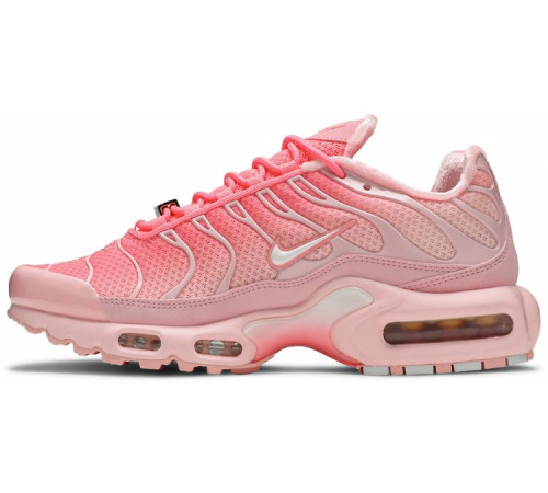 Кроссовки Nike Air Max Plus Pink City Special Atlanta
