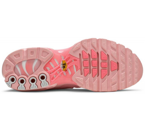 Кроссовки Nike Air Max Plus Pink City Special Atlanta
