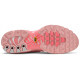 Кроссовки Nike Air Max Plus Pink City Special Atlanta