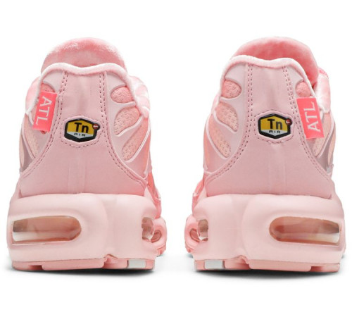 Кроссовки Nike Air Max Plus Pink City Special Atlanta