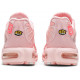 Кроссовки Nike Air Max Plus Pink City Special Atlanta