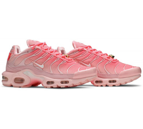 Кроссовки Nike Air Max Plus Pink City Special Atlanta