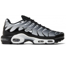 Кроссовки Nike Air Max Plus Metallic Silver черные
