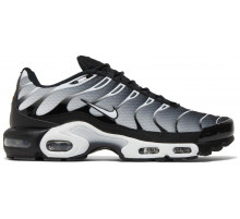 Кроссовки Nike Air Max Plus Metallic Silver черные