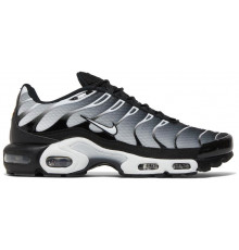Кроссовки Nike Air Max Plus Metallic Silver черные