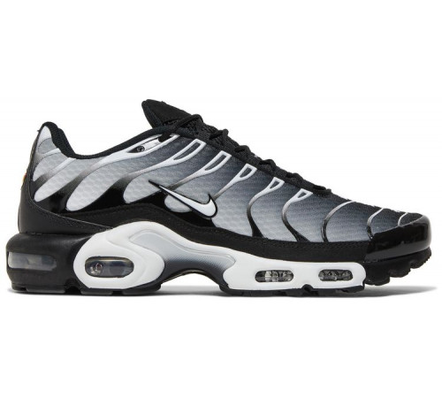 Кроссовки Nike Air Max Plus Metallic Silver черные