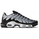 Кроссовки Nike Air Max Plus Metallic Silver черные