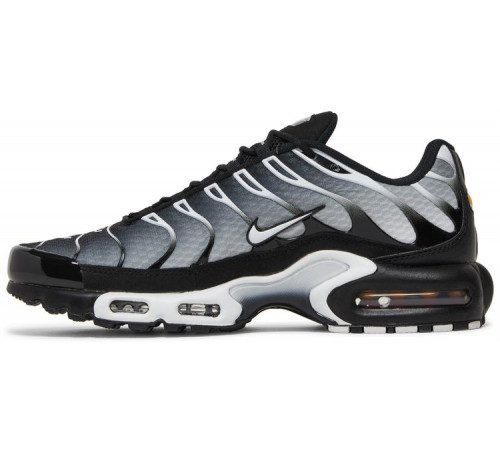 Кроссовки Nike Air Max Plus Metallic Silver черные