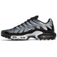Кроссовки Nike Air Max Plus Metallic Silver черные