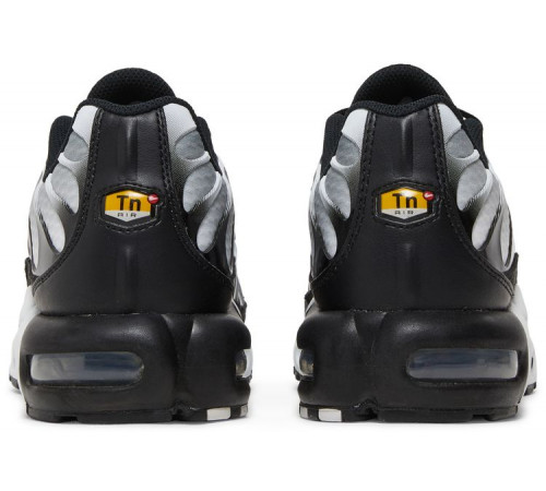 Кроссовки Nike Air Max Plus Metallic Silver черные
