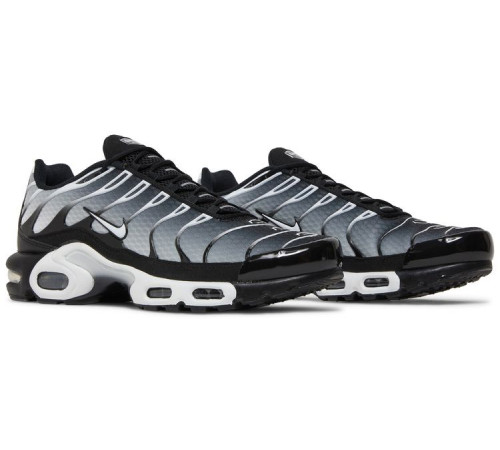 Кроссовки Nike Air Max Plus Metallic Silver черные