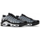 Кроссовки Nike Air Max Plus Metallic Silver черные