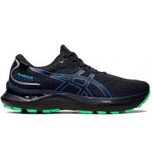 Asics Gel Cumulus 24 Gore Tex Coast