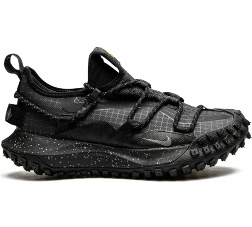 Nike ACG Mountain Fly Low Se Gore-Tex Dark Grey