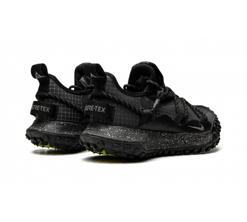 Nike ACG Mountain Fly Low Se Gore-Tex Dark Grey
